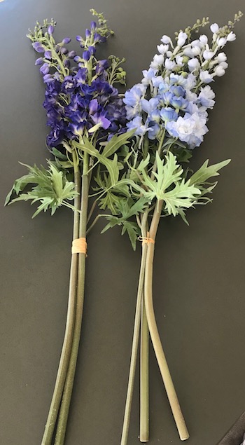 Delphiniums
