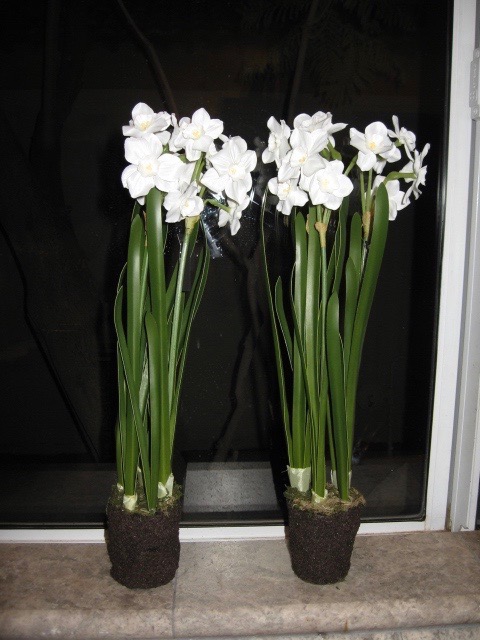 paper whites