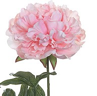 Silk, Artificial Flower Stems