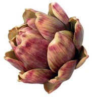 Artificial/Fake Fruits - Artichoke-Burgandy