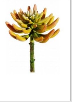Artificial, faux, nearly natural Succulent