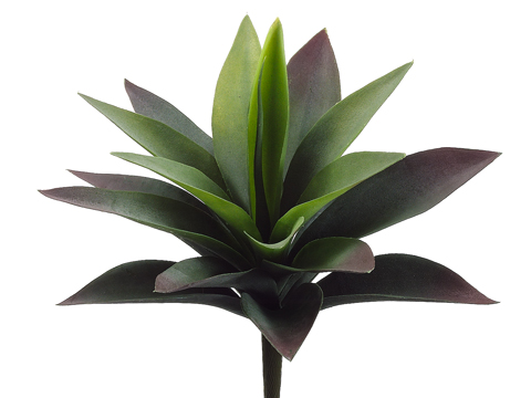 Artificial, faux, nearly natural Succulent