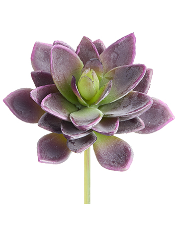 Artificial, faux, nearly natural Succulent