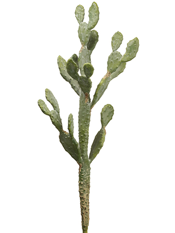 Artificial, faux, nearly natural Succulent
