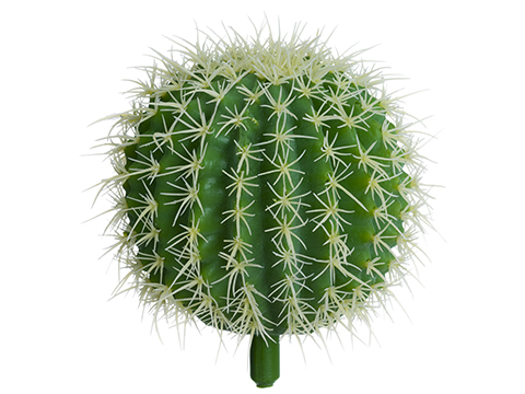 Artificial, faux, nearly natural Succulent