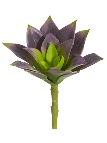 Artificial, faux, nearly natural Succulent