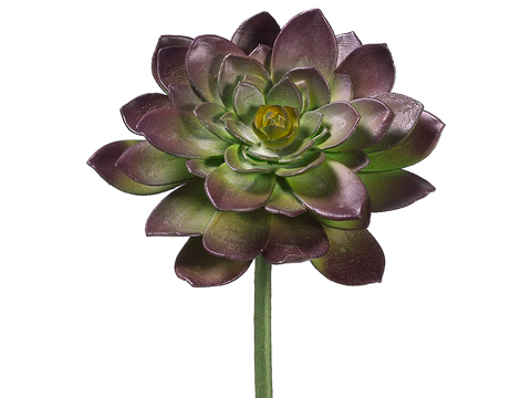Artificial, faux, nearly natural Succulent