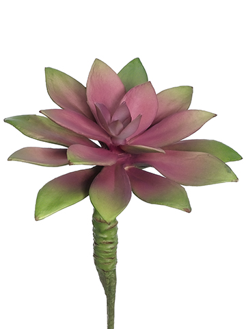 Artificial, faux, nearly natural Succulent