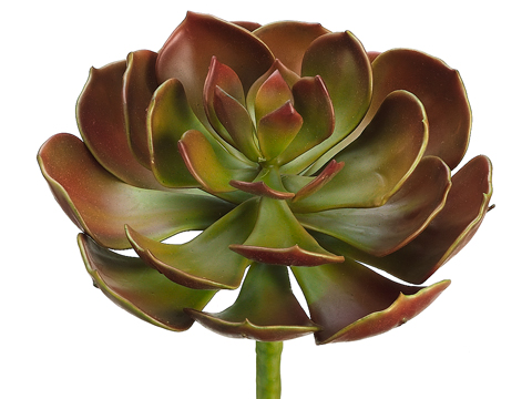 Artificial, faux, nearly natural Succulent