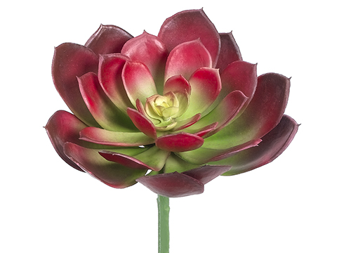 Artificial, faux, nearly natural Succulent