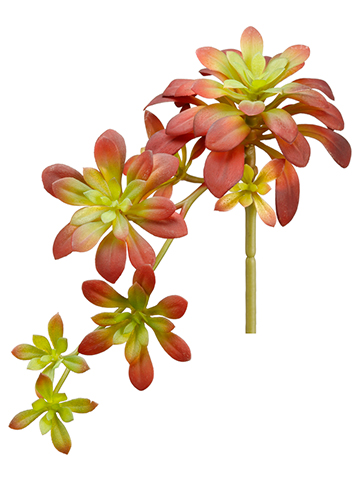 Artificial, faux, nearly natural Succulent