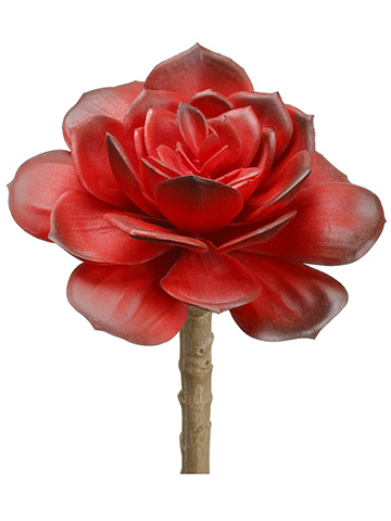 Artificial, faux, nearly natural Succulent