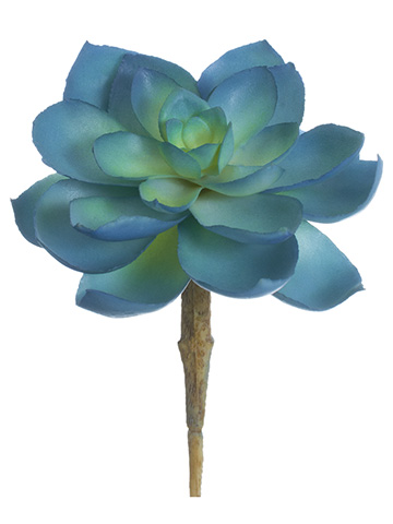 Artificial, faux, nearly natural Succulent