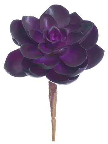 Artificial, faux, nearly natural Succulent
