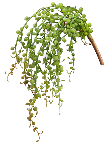 Artificial, faux, nearly natural Succulent