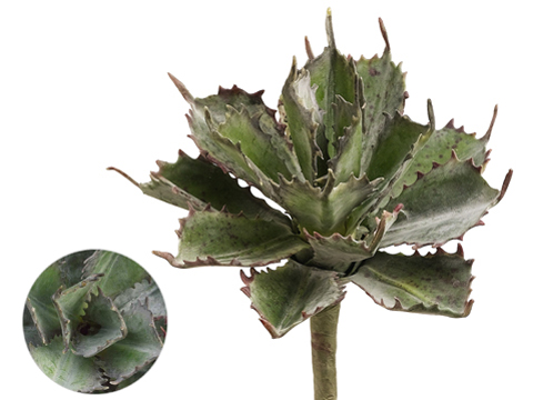 Artificial, faux, nearly natural Succulent