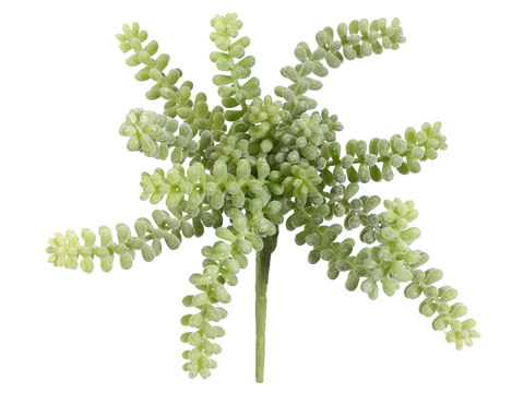 Artificial, faux, nearly natural Succulent