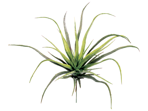 Artificial, faux, nearly natural Succulent