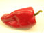 Artificial, Fake Food - Red Pepper