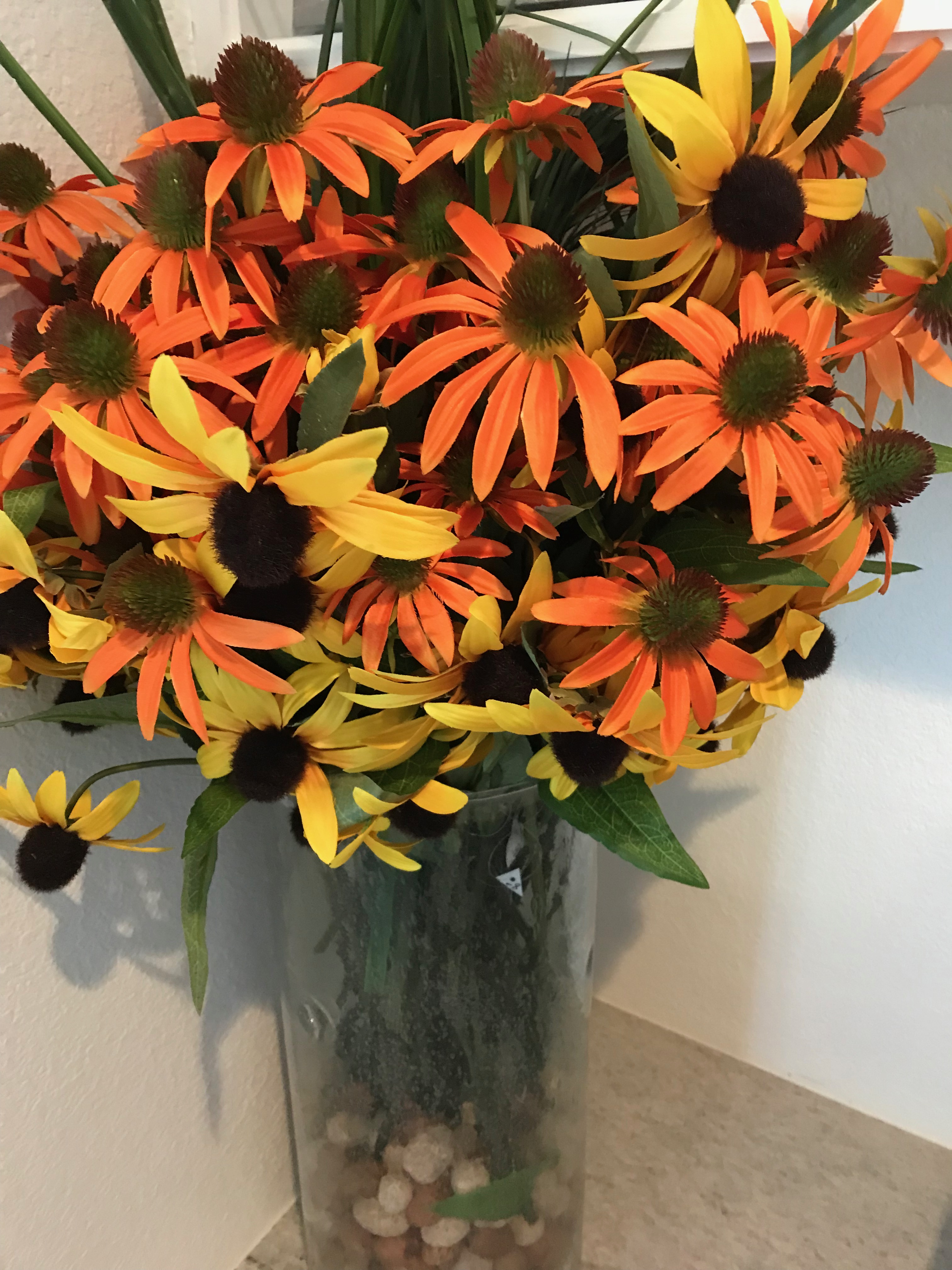 black eyed Susans