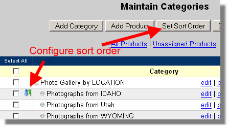 Sort Order Icon
