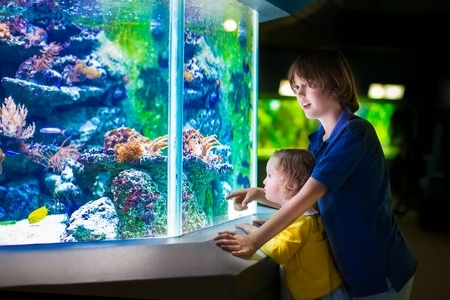 East Idaho Aquarium - Sponsor Dr. Michael tall