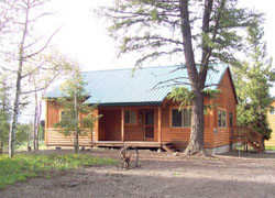 Carolina Cabin-Island Park, Yellowstone Cabin