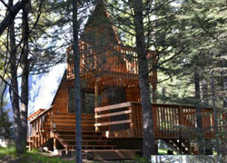 Creekside Cottage-Island Park, Yellowstone Cabin