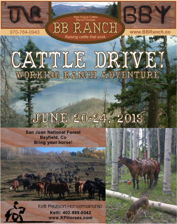 working ranch horse back vacation