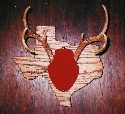 Texas Plaque