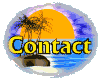 Contact Us Here