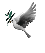 Dove Recipes