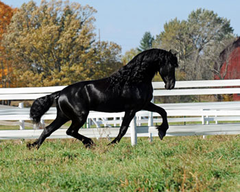 Winsome