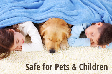 Carpet Cleaning that is Safe for children and pets