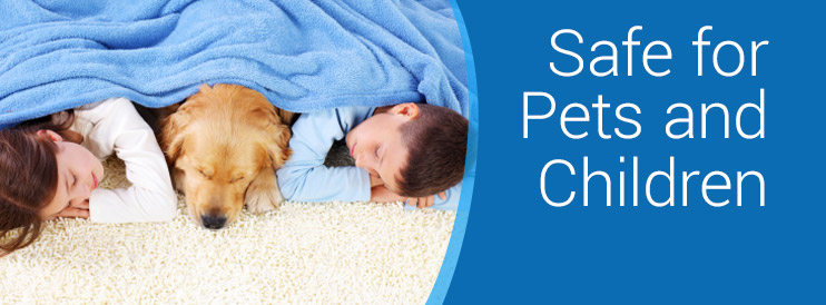 Carpet Cleaning that is Safe for children and pets