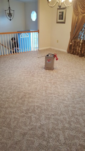 After Picture