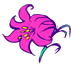 orchid