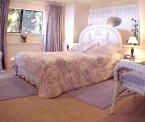 orchidsuite3.jpg