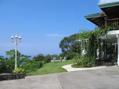 pic4