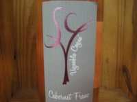 Vignoble Cogne Cabernet franc Rose '21 Organic