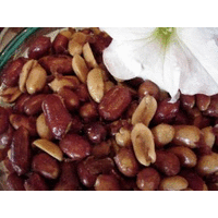 Redskin Peanuts (extra large & crispy)