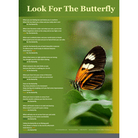 Look for the Butterfly