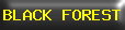 BLACK FOREST RACING USA