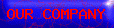 OUR%20COMPANY