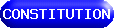 Chapter Consitution