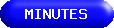 WINENA Chapter Minutes