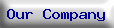 Our%20Company