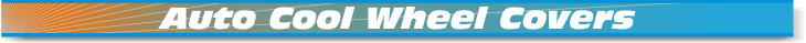 Auto Promo Wheel Covers
