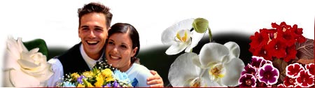 Retail Floral Shop home page graphic