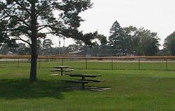 Hamilton Ballfields Photo